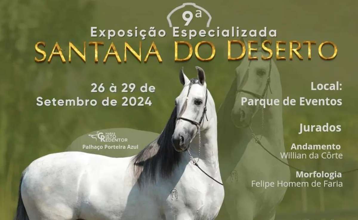 exposicao cavalo manga larga marchador santana do deserto